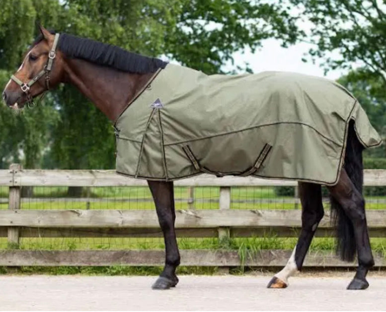 QHP Turnout Rug-No Fill