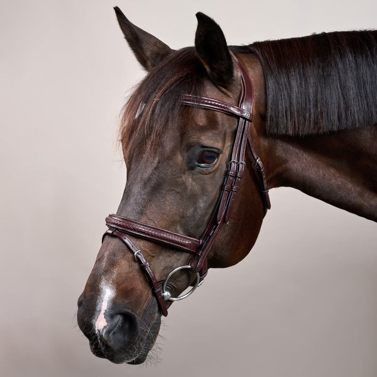 Dy’on Plaited Flash Noseband Bridle NE