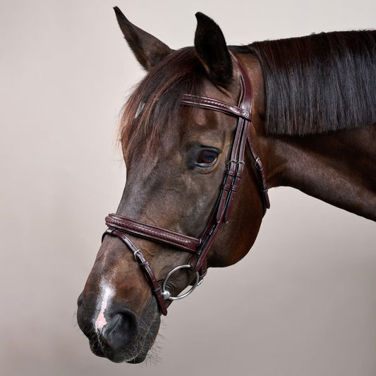 Dy’on Plaited Flash Noseband Bridle NE