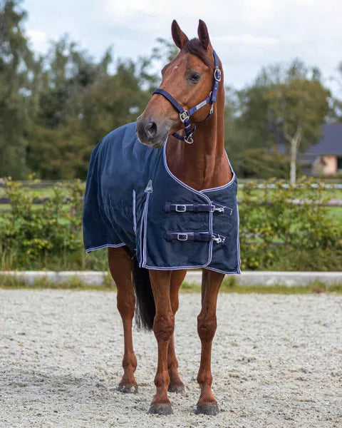 QHP Luxury Turnout Rug 0g