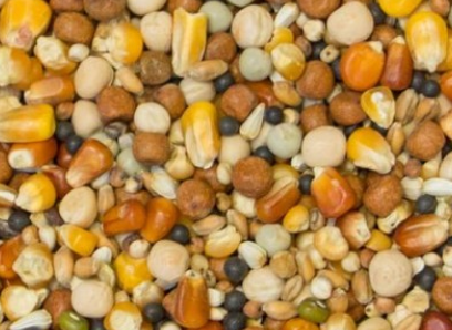 Breeding Supreme - 25kg