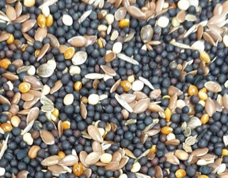 Conditoner Tonic Seed - 20kg
