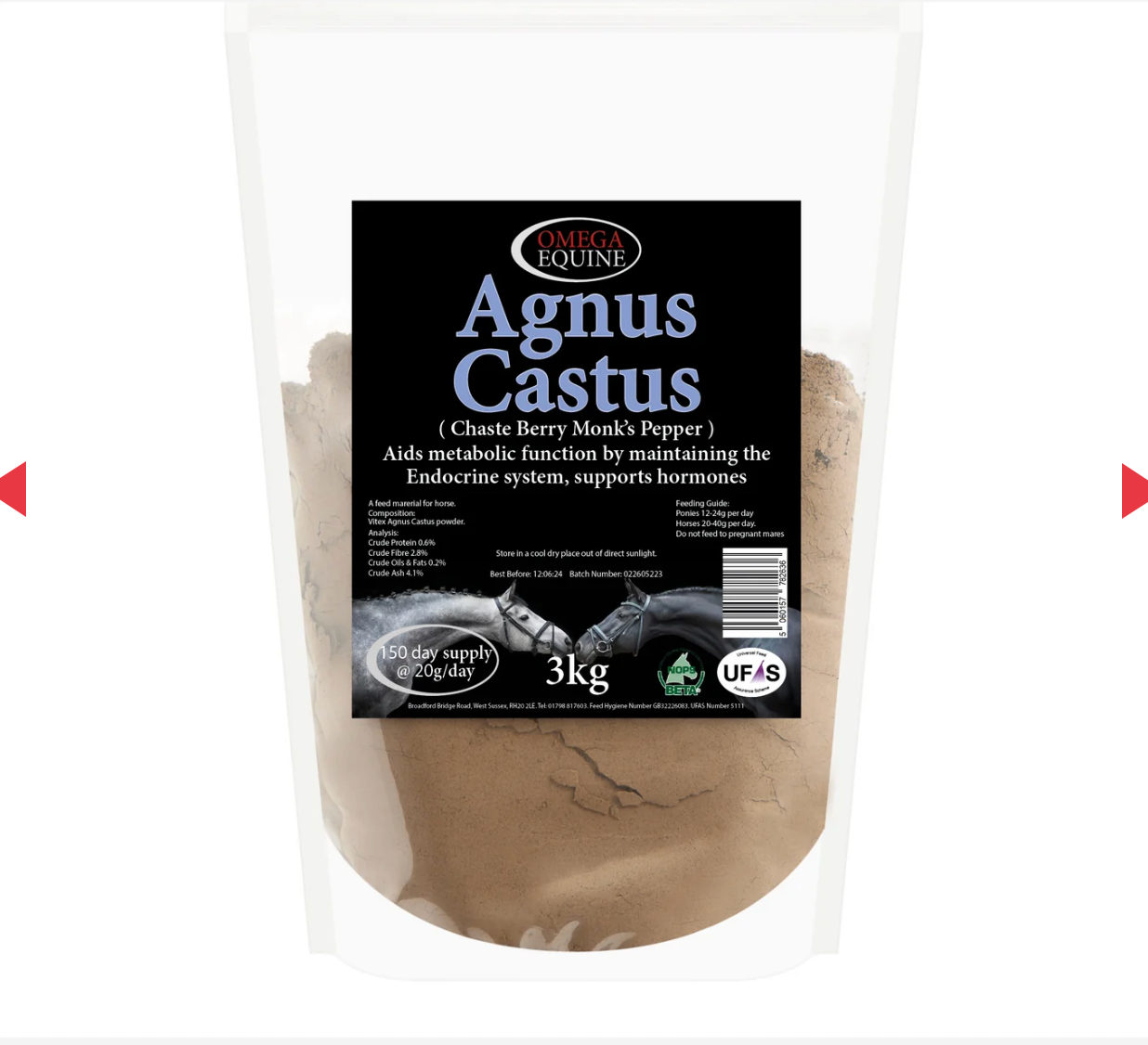 Agnus Cactus