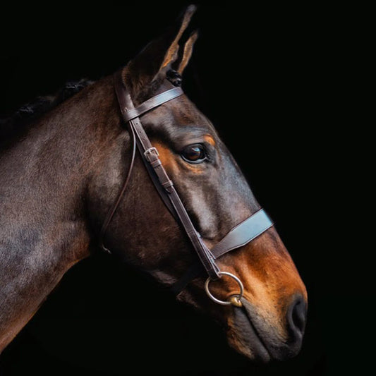 Cameo Hunt Bridle With 2 Browbands