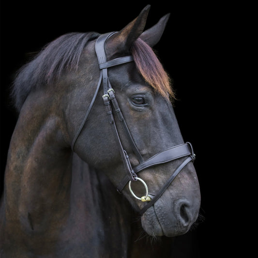Ecorider Show Comfort Bridle