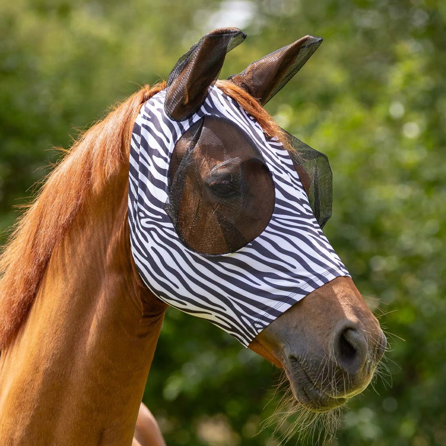 QHP Fly Mask Super bug